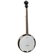 Tanglewood TWB18 M5 banjo, 5-strengs
